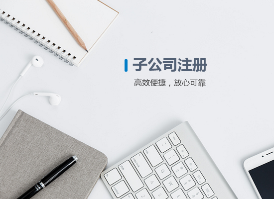 <b>子公司注冊</b>