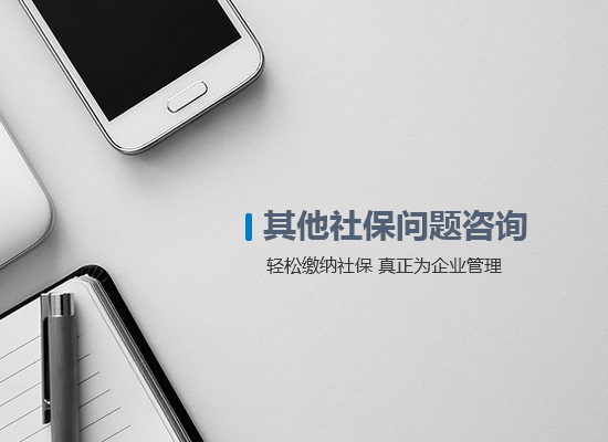 其他社保問題咨詢